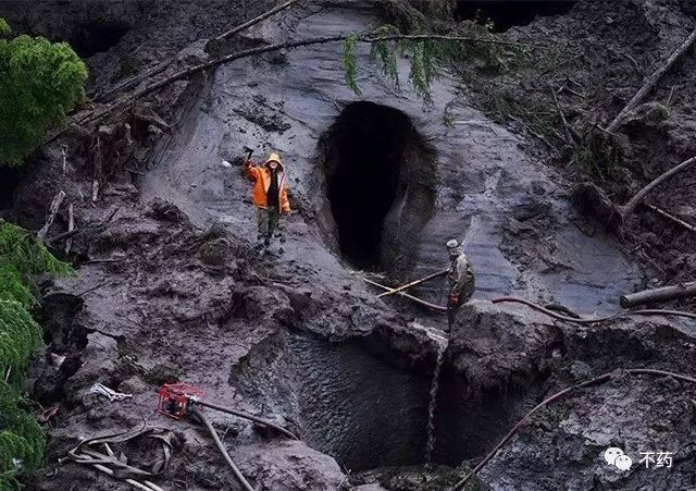 猛犸象的价值多少,猛犸有升值空间吗有收藏价值吗