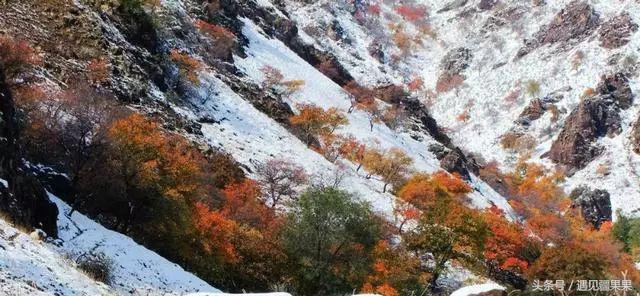 伊犁最美旅游风景区,伊犁旅游攻略探索最美风光