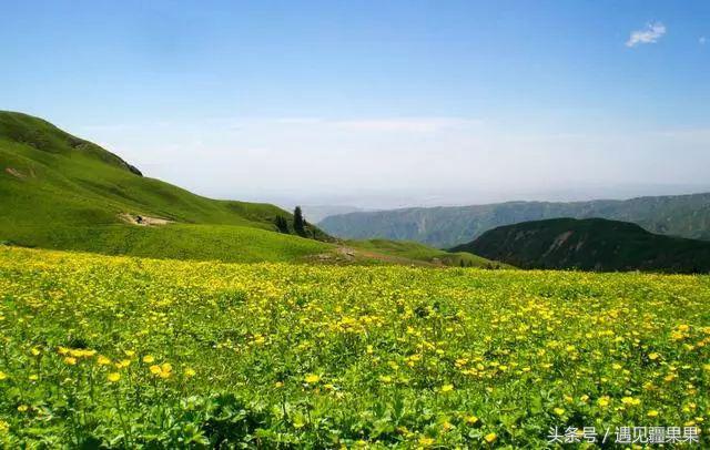伊犁最美旅游风景区,伊犁旅游攻略探索最美风光