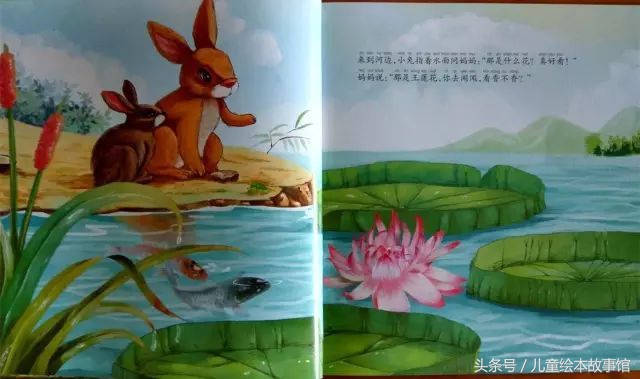 儿童绘本故事美丽的风景,花儿的故事绘本