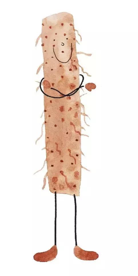 6-12个月宝妈辅食,6-12个月宝宝辅食大全