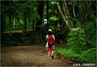 泰国蜜月岛门票,泰国水下婚礼举办视频