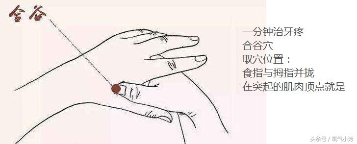 中医10个急救穴位图,10个急救穴