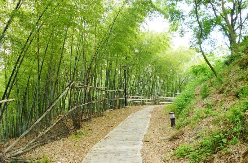 北仑十大爬山景点,北仑免费爬的山有哪些景区