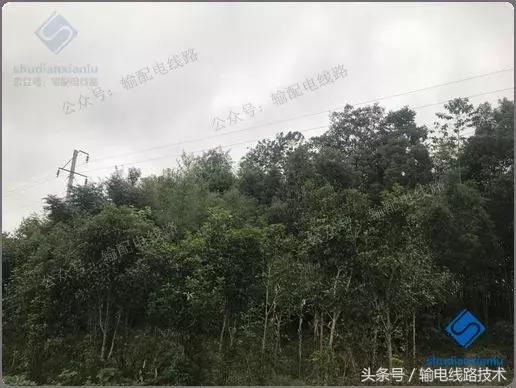 线路树障清理施工方案,电力线路树障清理属于什么行业