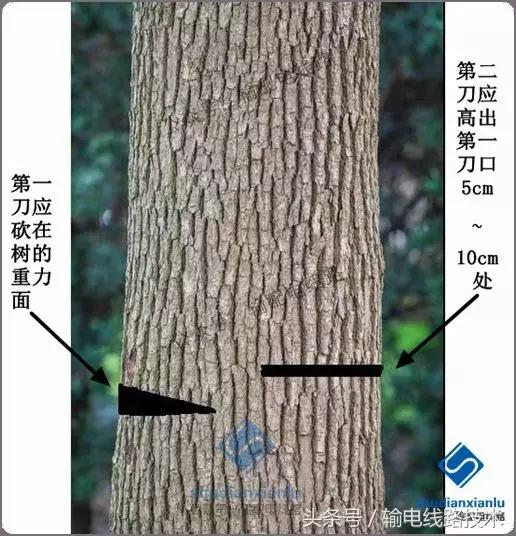 线路树障清理施工方案,电力线路树障清理属于什么行业