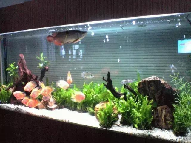 榫欓奔鑳￠』鎹熶激鎬庝箞澶勭悊,榫欓奔鎬庝箞闃叉鑳￠』鎹熶激