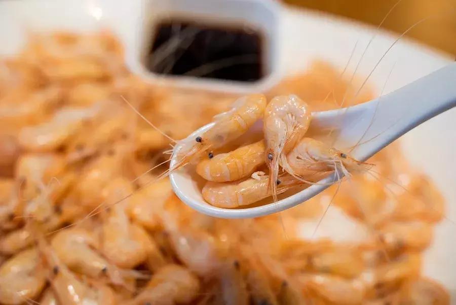 逛水族馆满脑子都是海鲜,水族馆里的海鲜