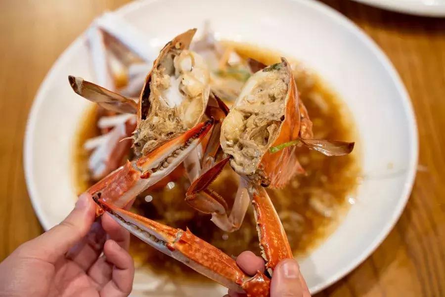 逛水族馆满脑子都是海鲜,水族馆里的海鲜