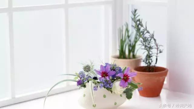 亦舒情感语录大全集,亦舒经典语录甜言蜜语