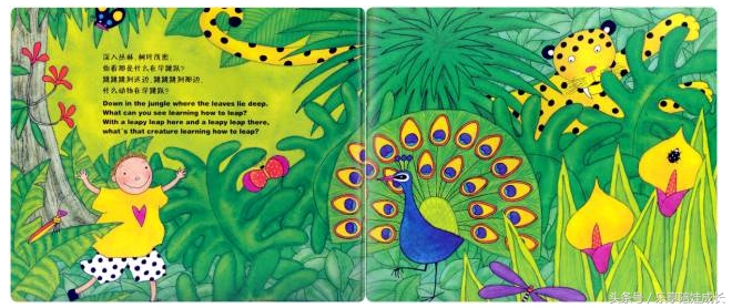 animalboogie绘本,thebook绘本磨耳朵