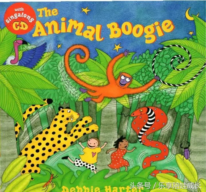 animalboogie绘本,thebook绘本磨耳朵