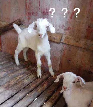 谜之时尚！看完2018年度大牌的奇葩单品，从来没这么心疼过有钱人