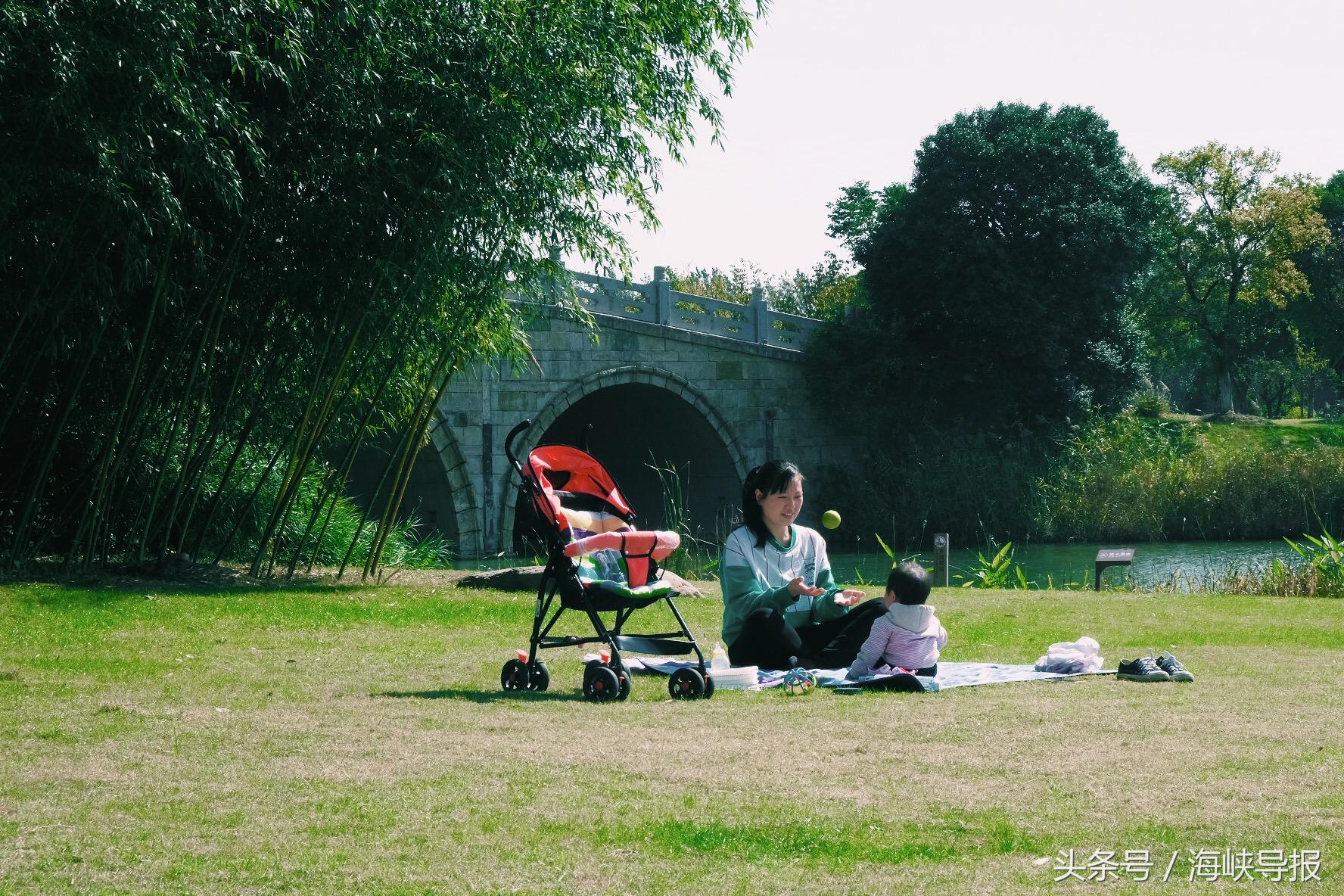 大隐隐于市!这座生态园让你感受江南水乡的农家之美