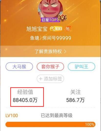 旭旭宝宝连麦abc一姐,旭旭宝宝斗鱼礼物收入