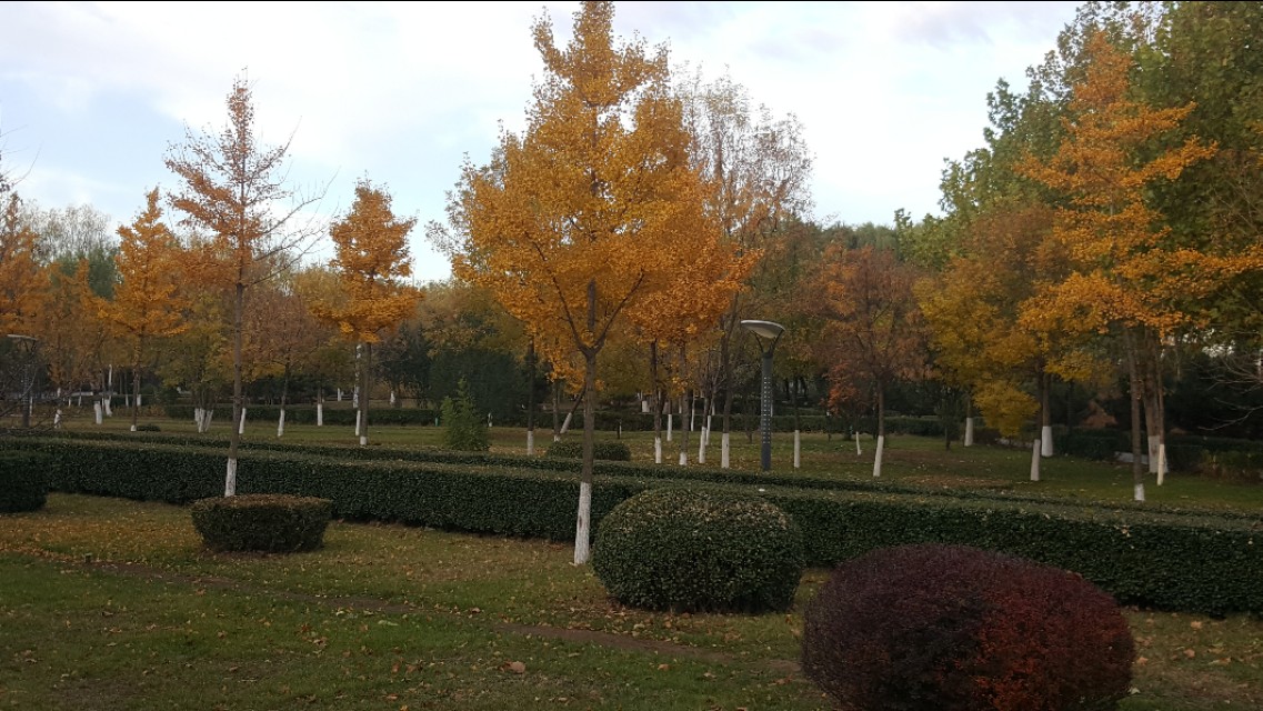 华为mate20pro现在还能买吗,华为mate20pro还可以入手吗