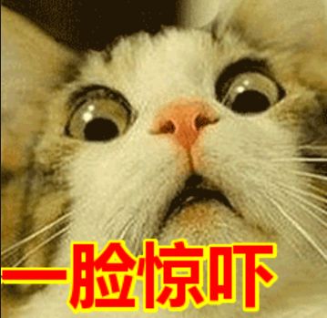 ugg被处罚后续,ugg被曝光视频