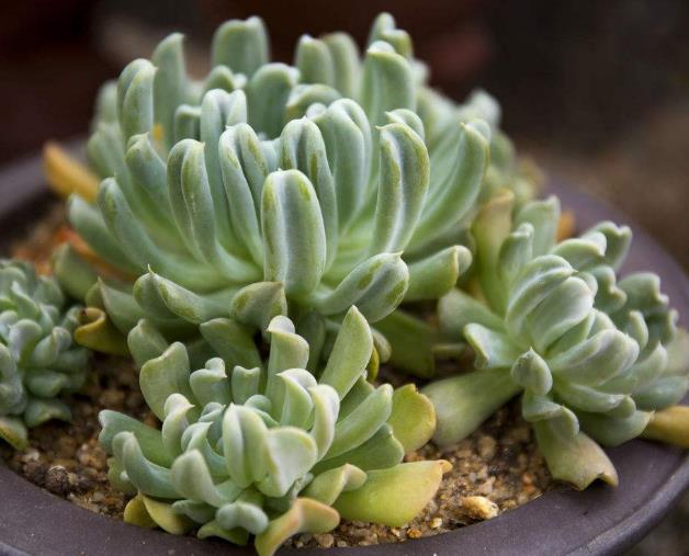 财运正旺不宜做的事,想财运旺记住这几件事