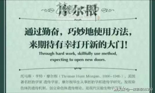 英语中what和how的感叹句如何使用,初中英语感叹句whata和howa的用法