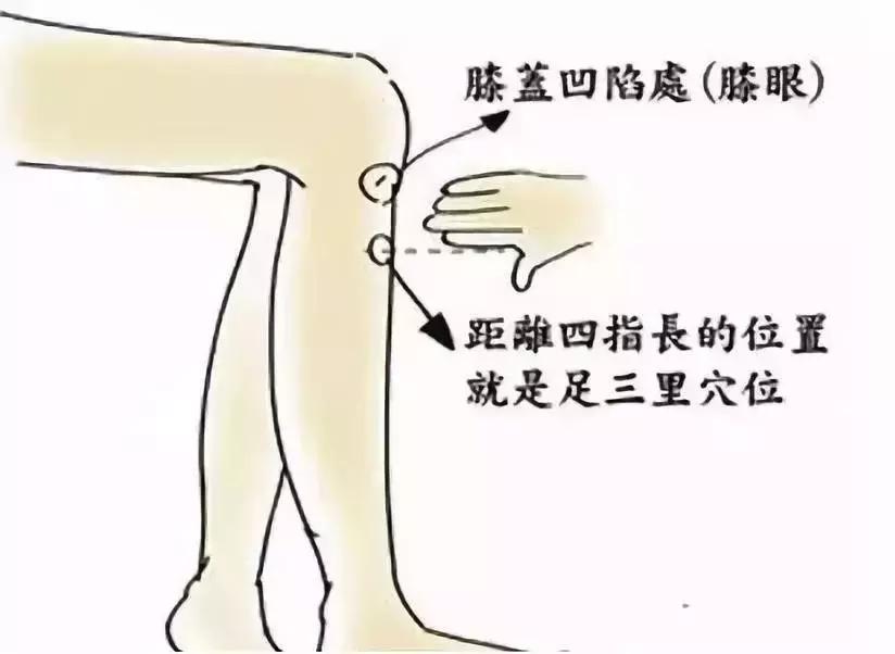 失眠便秘的中药方子,失眠牙痛便秘吃什么药