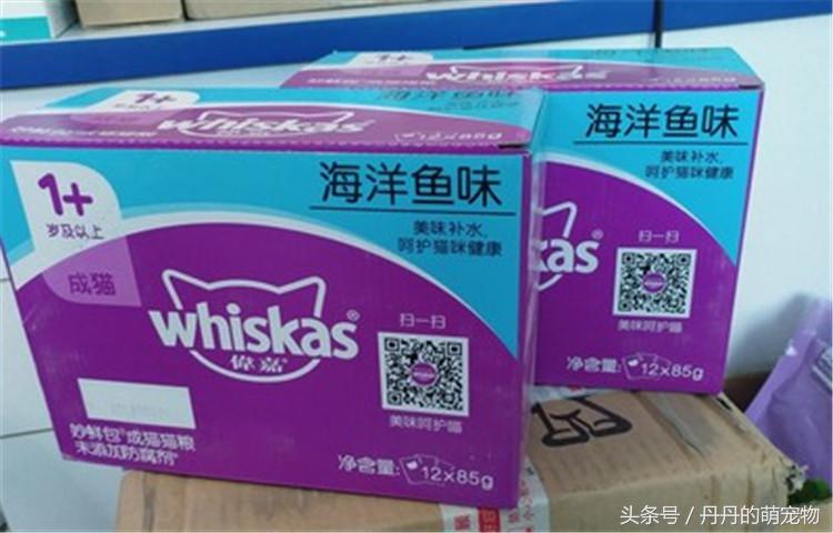 铲屎官吃猫咪零食,铲屎官宠物零食店