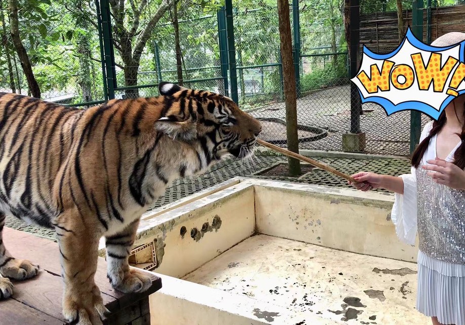 长发美美Sia丫丫带你游遍纸醉金迷曼谷小清新清迈