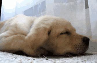 一到冬天手脚冰凉偏方一周见效,冬日手脚冰凉6招让你暖全身