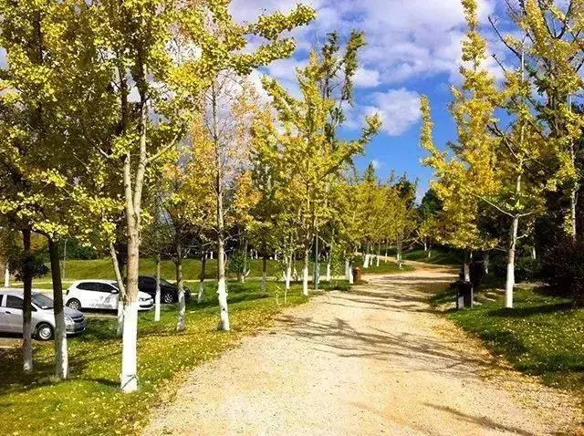 昆明市好消息,云南昆明好消息