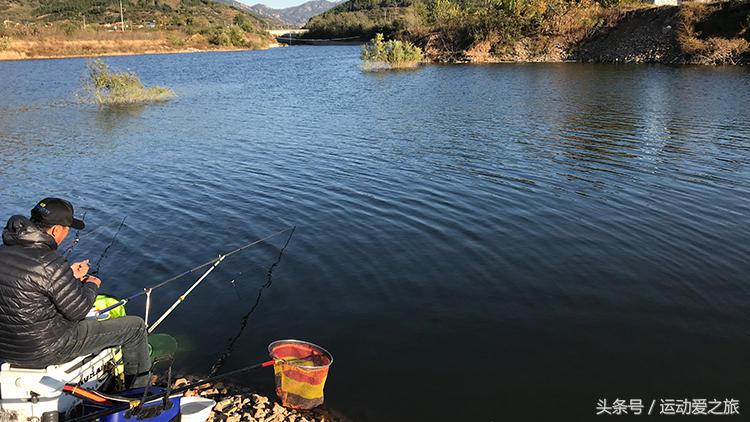 冬季鲫鱼开口的正确方法,水温低于15度鲫鱼好钓吗