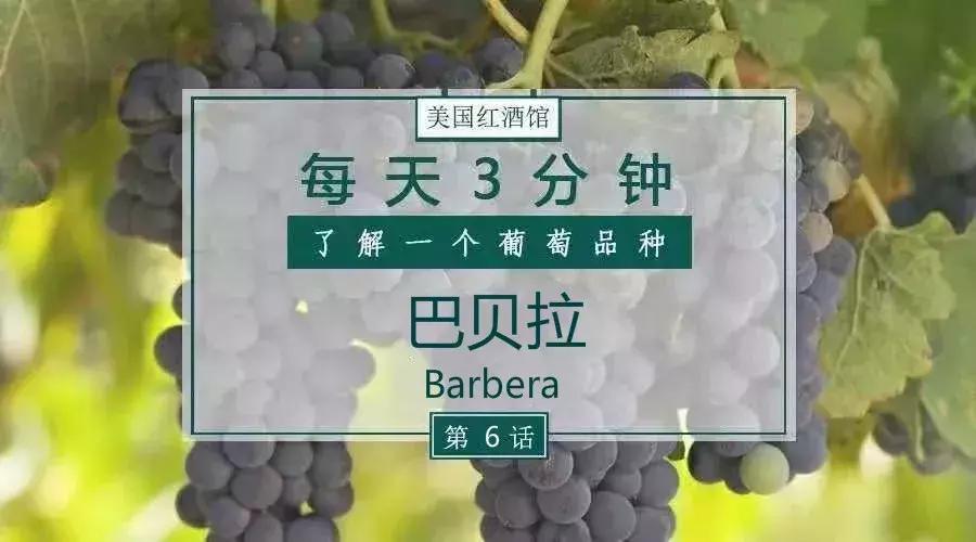 芭贝拉极细好吗,芭贝拉极细和正常对比