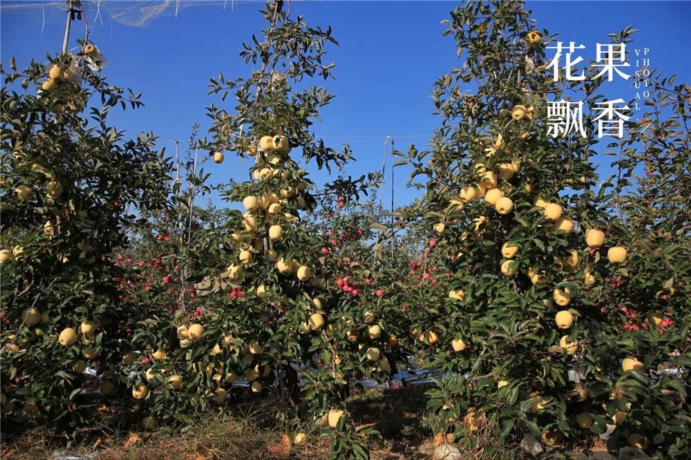 椋庡Э濞撮泤缁扮害澶氬Э,椋庡Э缁扮害娓╁杩蜂汉
