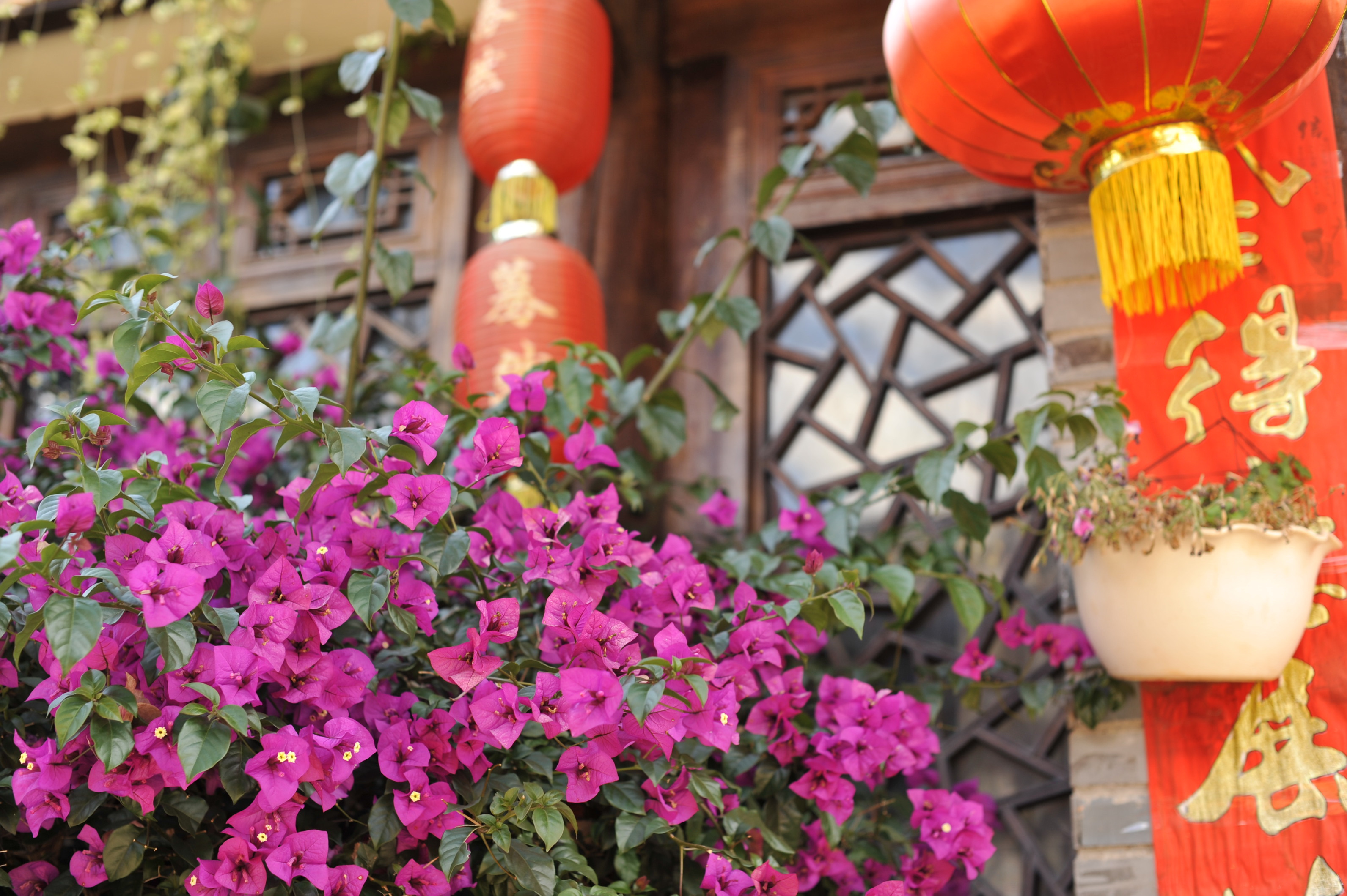 大理丽江云南旅游攻略,丽江大理自由行攻略6天5晚