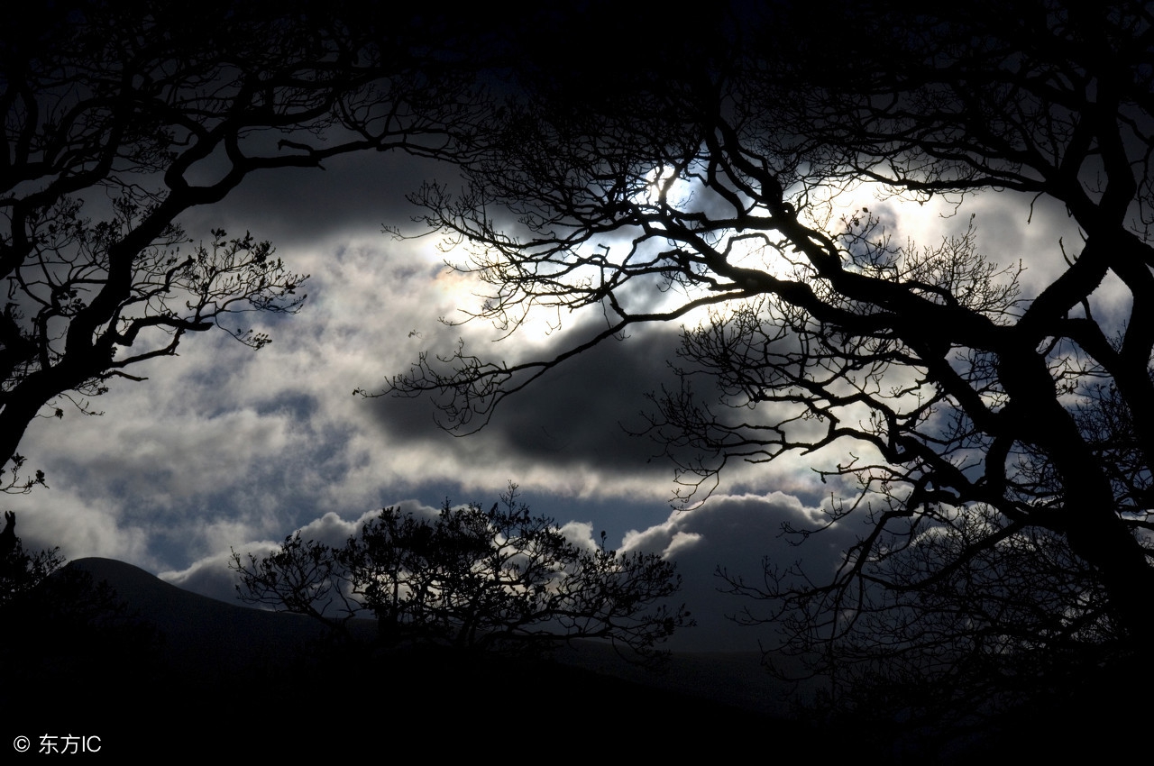 宋词精选三百章全文阅读1126章,颜渊山庄宋词精选三百章全文阅读