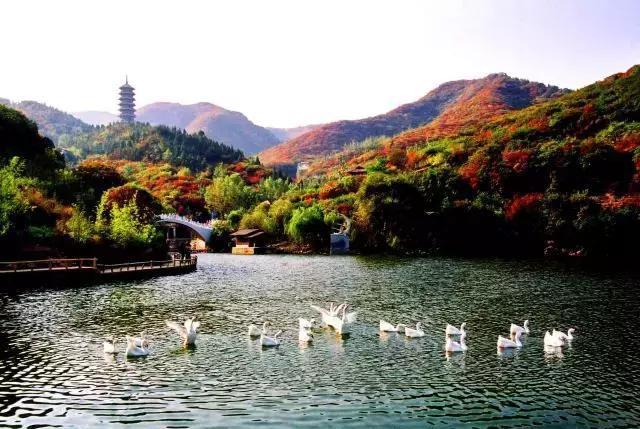 济南红叶谷在济南什么位置,山东济南红叶谷秋色