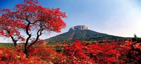 济南红叶谷在济南什么位置,山东济南红叶谷秋色