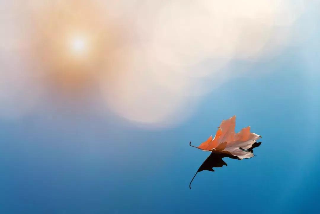 30个易错成语你用对了多少,30个容易用错的成语