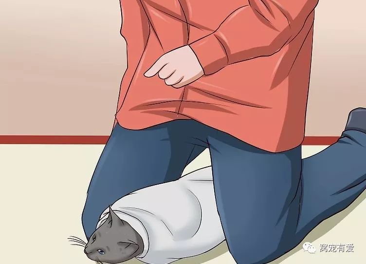 耳螨的日常护理,准备几样东西