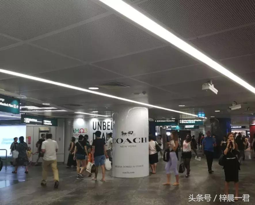 浦东与新加坡人口密度,新加坡面积与人口密度