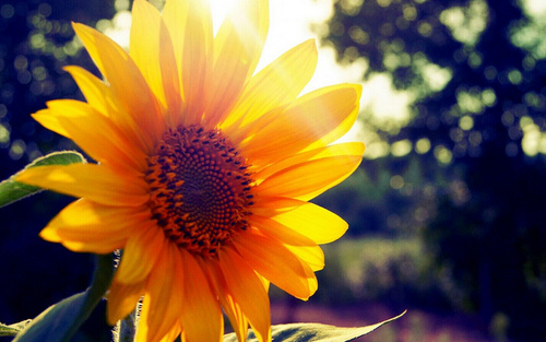 金福财富可靠吗,金福财富最新近况