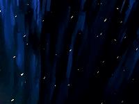 lc圣斗士和ss圣斗士谁厉害,ss与lc黄金圣斗士