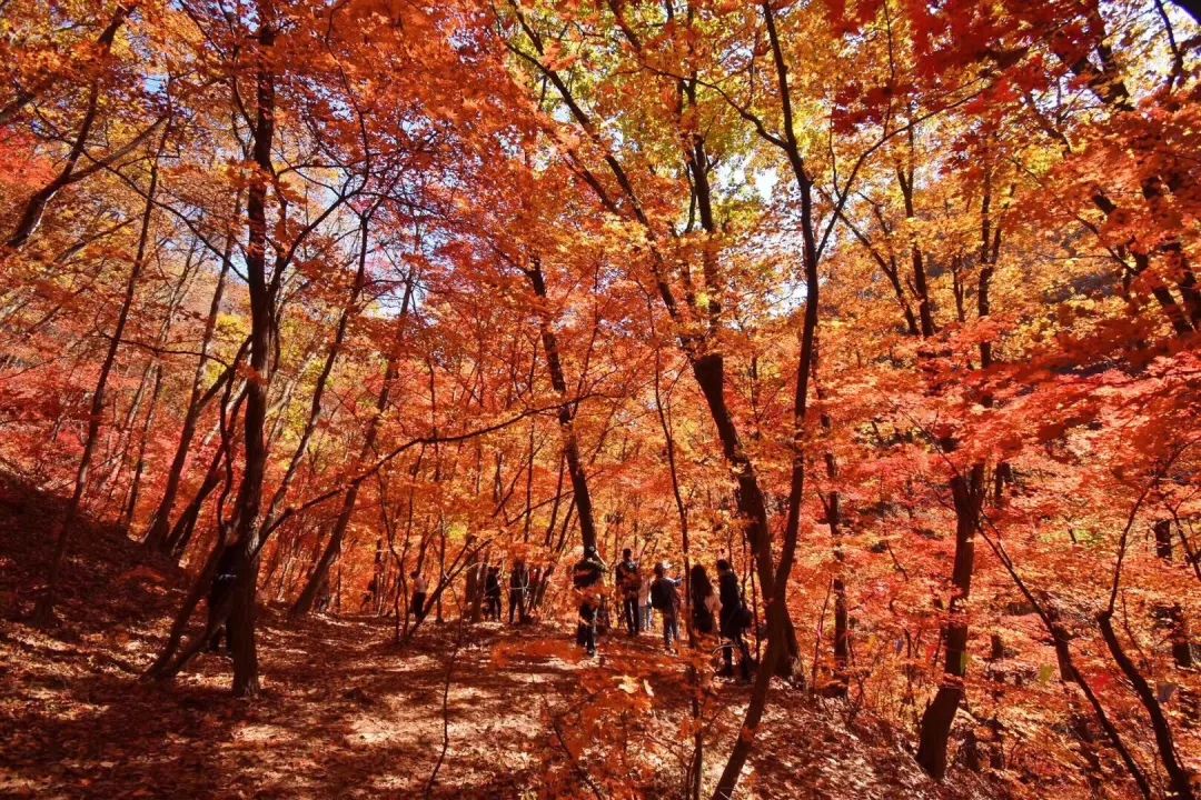 安利马赛克贴纸,安利面膜贴