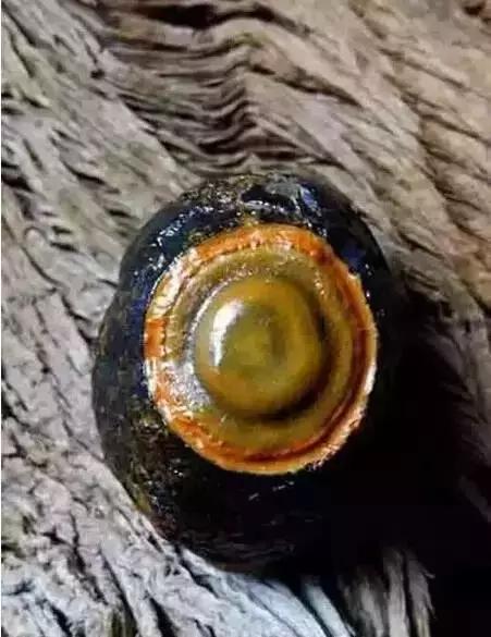 80种中国奇石让你认石不难,奇石种类一览表图解