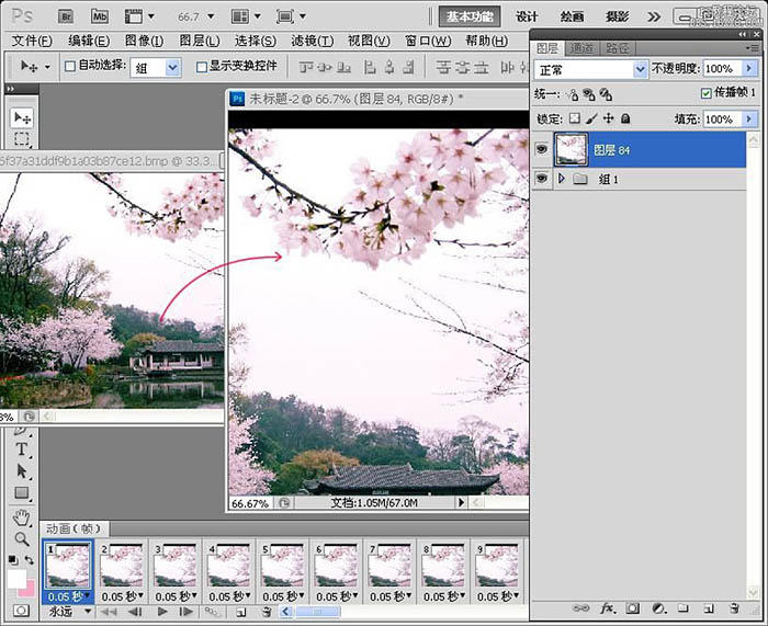 ps如何做花瓣飘落gif,ps怎样制作花瓣飘落的照片