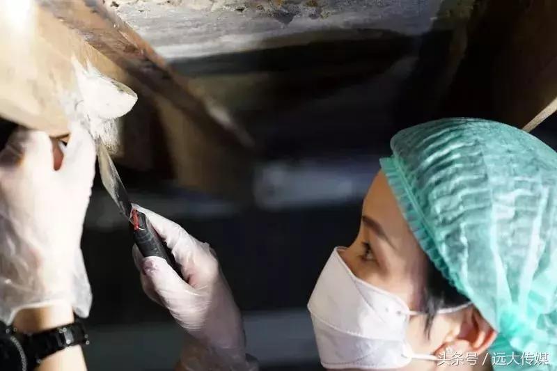 喜窝食品,喜窝窝燕窝