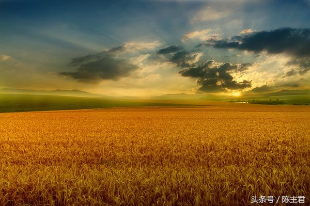 70张让人大开眼界的照片,50张让人惊艳的照片