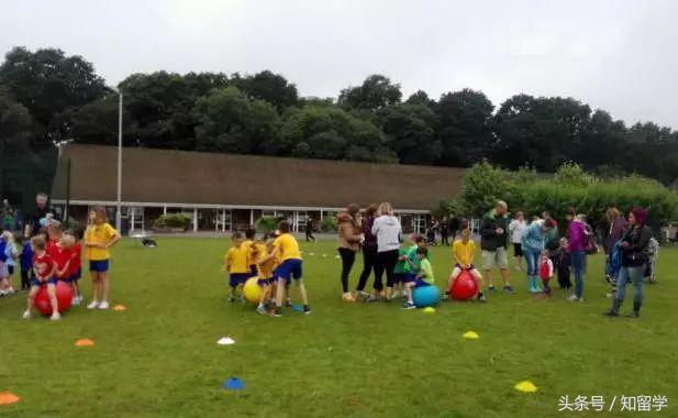 运动会高级创意,最新运动会创意展示