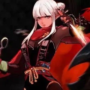 dnf忍者最新攻略,dnf忍者玩哪个流派好