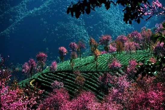 最适合旅游六个城市推荐,最适合冬天旅行的6个目的地