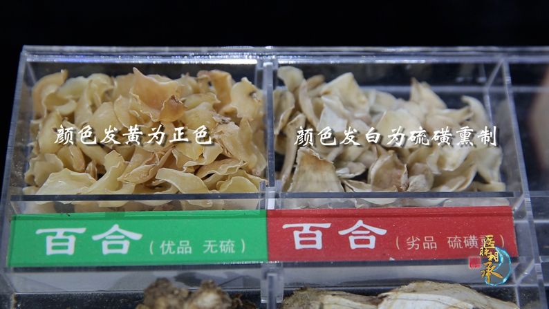 医脉相承是什么意思,医脉相承教授支招