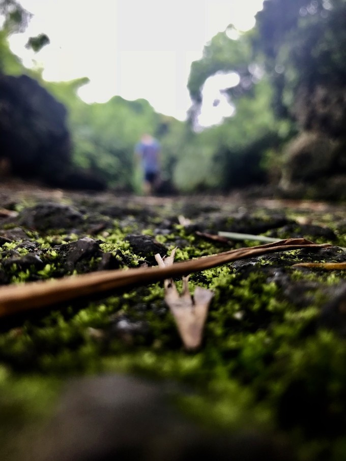 海口的特色美食有哪些,海口有哪些特色美食